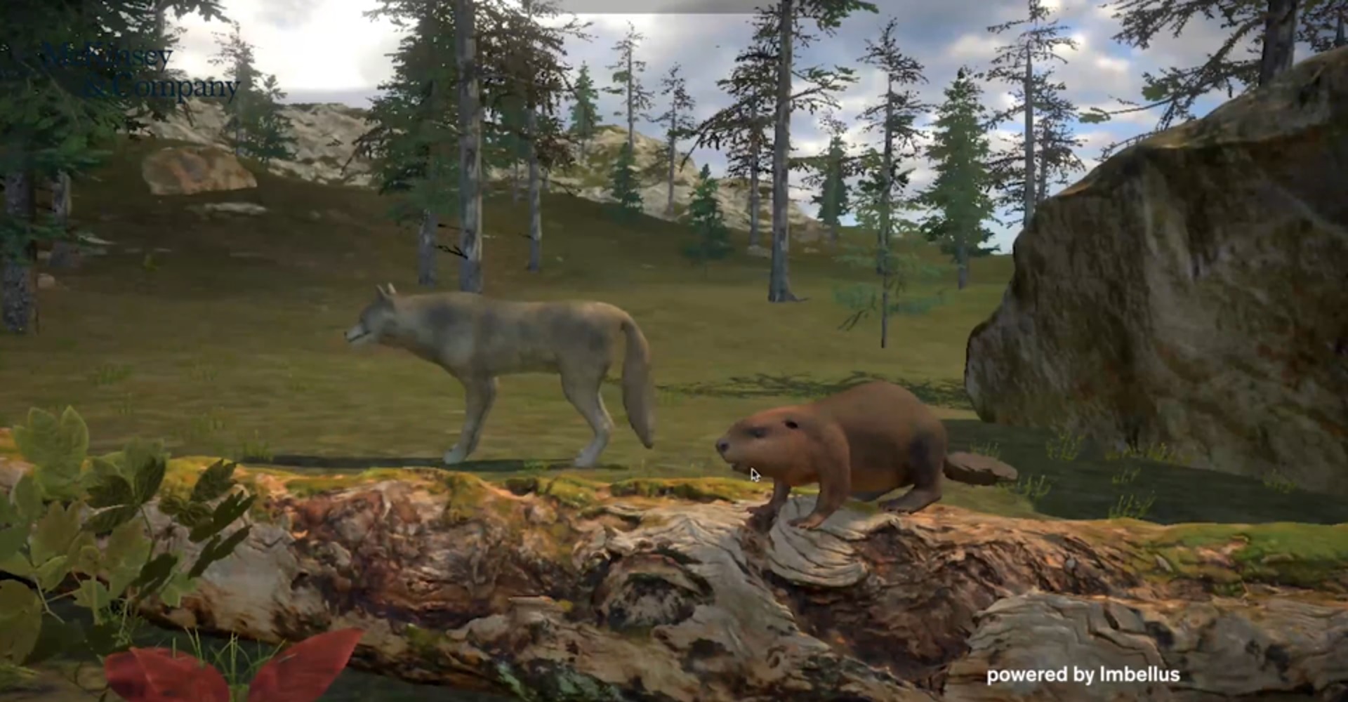 Screenshot of a wolf and beaver in a forest habitat from the Solve assessment